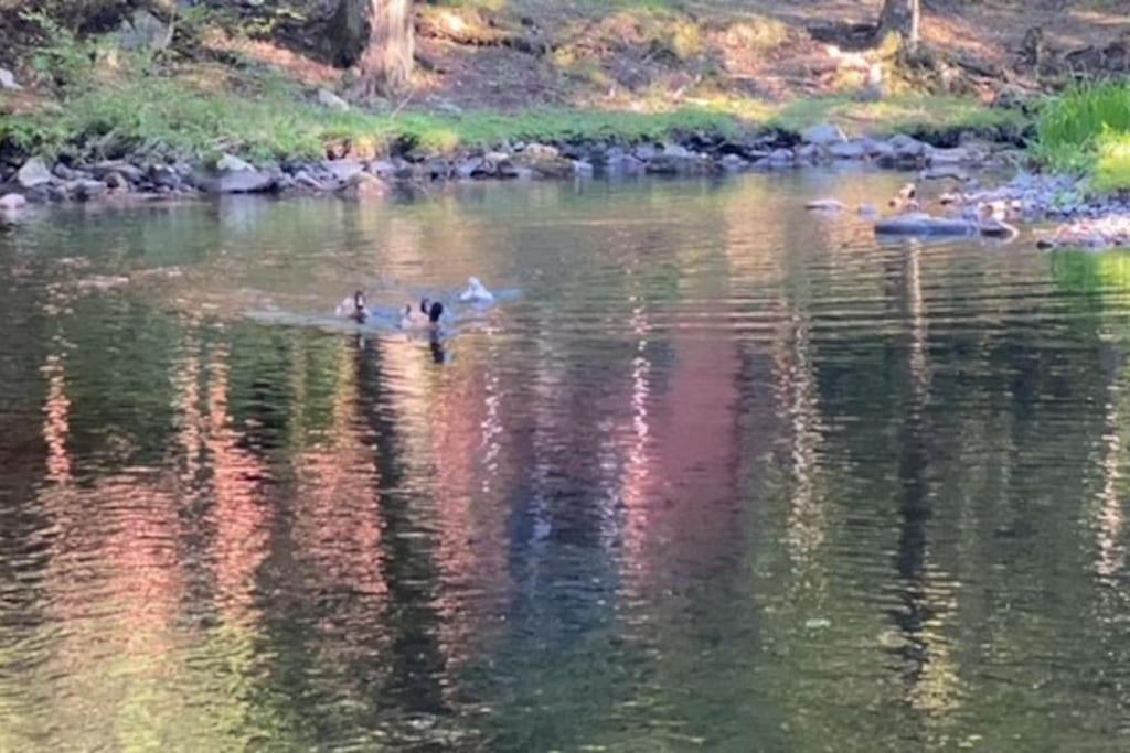 Peaceful Gateway To Island Creek Cottage East Stroudsburg Εξωτερικό φωτογραφία