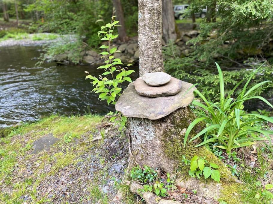 Peaceful Gateway To Island Creek Cottage East Stroudsburg Εξωτερικό φωτογραφία